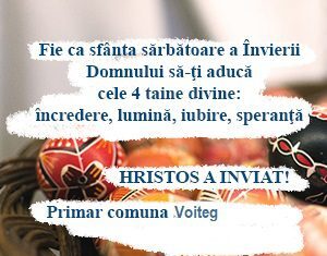 Primarul Fritz pierde procesul cu ANI și e bun de plată