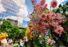 Activități Diverse în Timișoara – 16 Mai 2026: Ce Se Întâmplă Astăzi