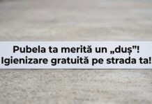 Curățenie în comunitate: Autospeciale pentru igienizarea pubelelor ajung în Lugoj