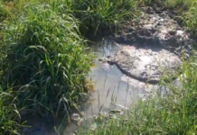 Scandal în comuna Victor Vlad Delamarina: Localnicii acuză probleme grave la rețeaua de canalizare