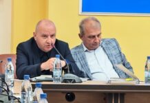 Liberalii Cărășeni: Opoziția în Consiliul Județean sau O simplă Formalitate?