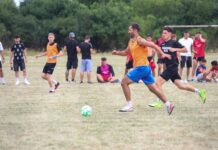 Cupa de Vară 2023 la Breștea: Detalii despre competiția de fotbal
