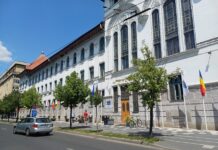 Plângeri penale împotriva conducerii Primăriei Timișoara de către angajați