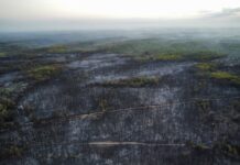 Pompierii români intervin în Banatul Sârbesc pentru stingerea incendiilor
