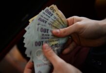 Plata alocațiilor pentru copii și indemnizațiilor începe din 8 septembrie