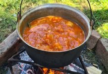 Festivalul „Glasul Ceaunelor” revine la Moneasa în 2026