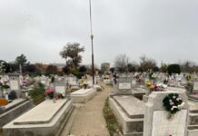 Înscrierea Comercianților de Flori și Candele la Timișoara pentru Ziua Morților