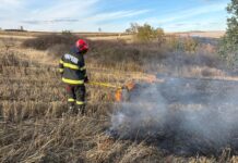 Incendii devastatoare în estul județului Timiș: Peste 50 de hectare afectate