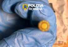Percheziții în Timiș și Caraș-Severin: descoperiri îngrijorătoare