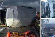 Accident pe autostrada Timișoara – Deva: autoutilitară răsturnată cu animale