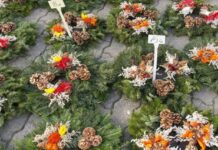 Înscrierile pentru Vânzarea de Produse în Timișoara de Ziua Morților Încep pe 22 Octombrie