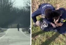 Crimă la o stână: Cioban înjunghiat în Timiș, autorul trimis în judecată