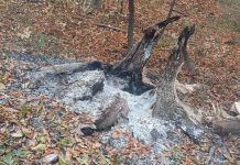 Focarele de incendiu din zona Domogled sunt monitorizate cu drone