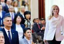 Prioritățile PSD pentru Stablitate: Ce Propun Deputații Silvia Mihalcea și Marius Isac