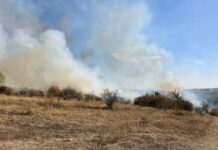 Incendiu major la Știuca: 100 de hectare afectate și pagube materiale importante