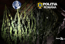 Tranzacție de droguri de 60.000 de euro oprită în Caransebeș: Două rețineri
